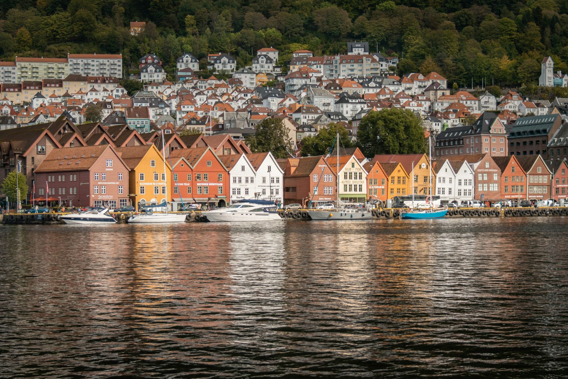 Historic Bryggen buildings along the Bergen waterfront